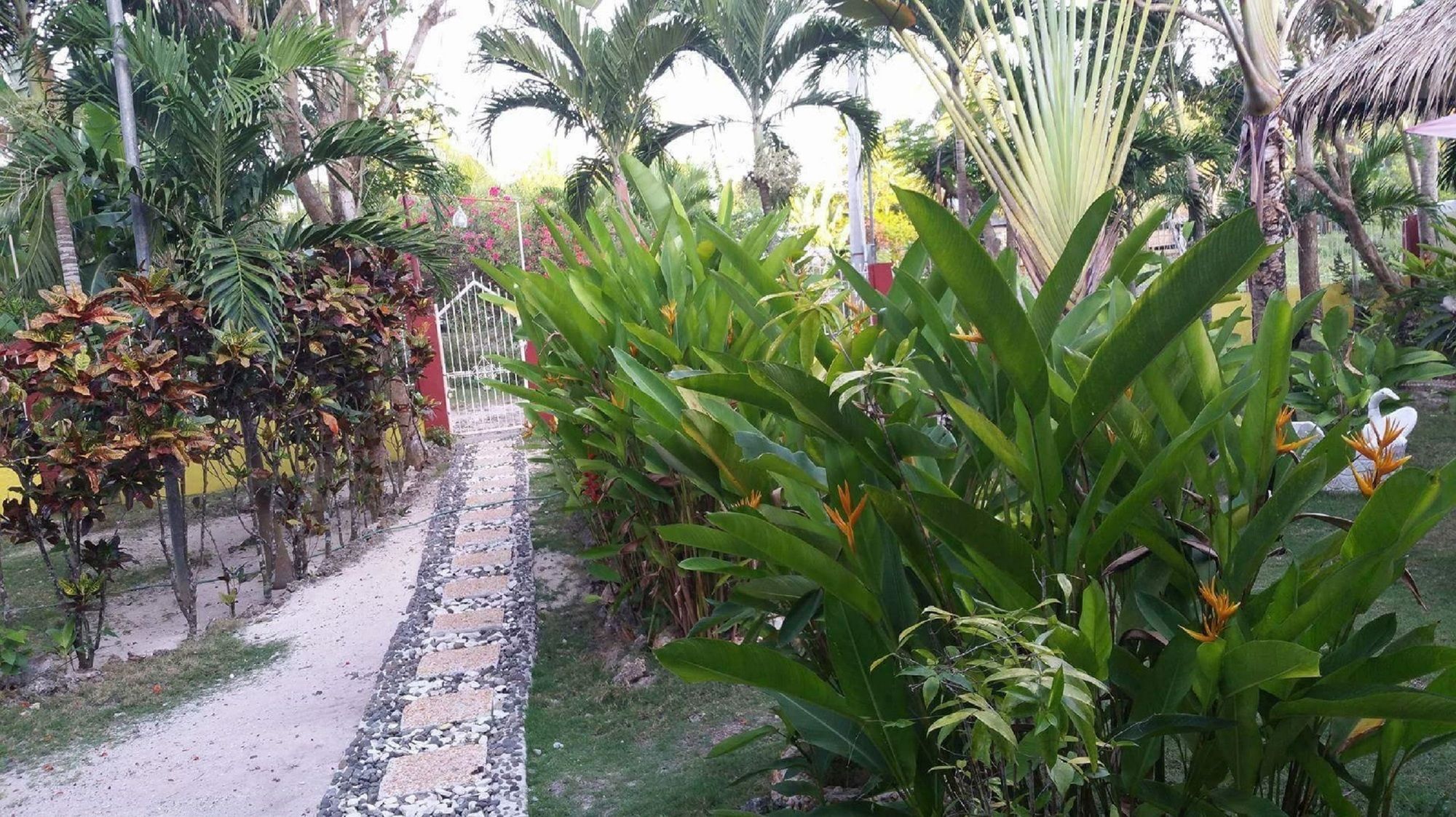 Traville Huts Palm Beach Inn Panglao Buitenkant foto